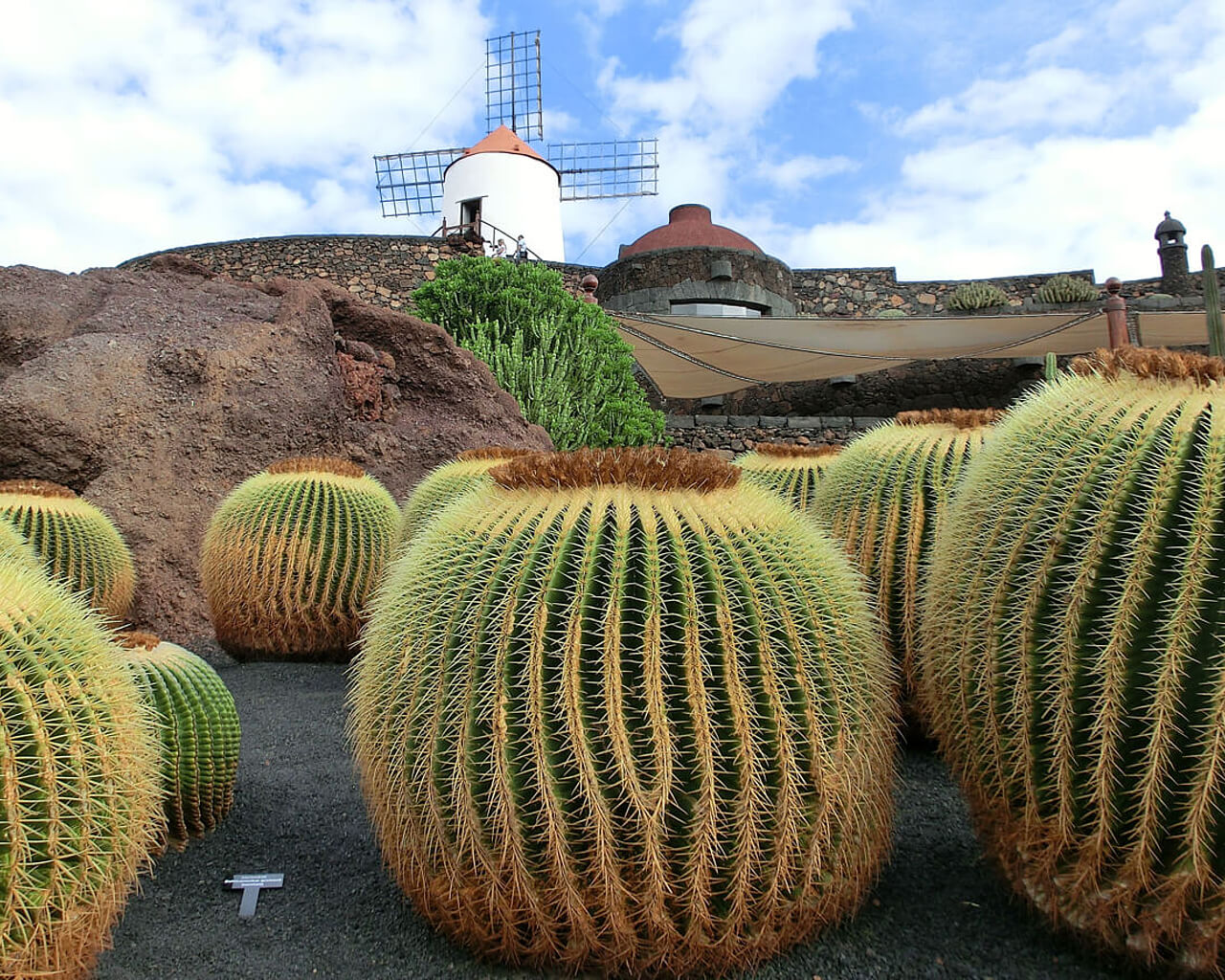 Voyages à Lanzarote, Jardin de Cactus, Iles Canaries