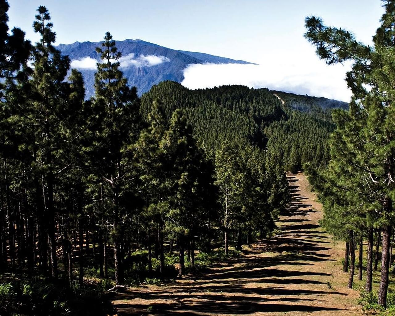 Canaries, La Palma